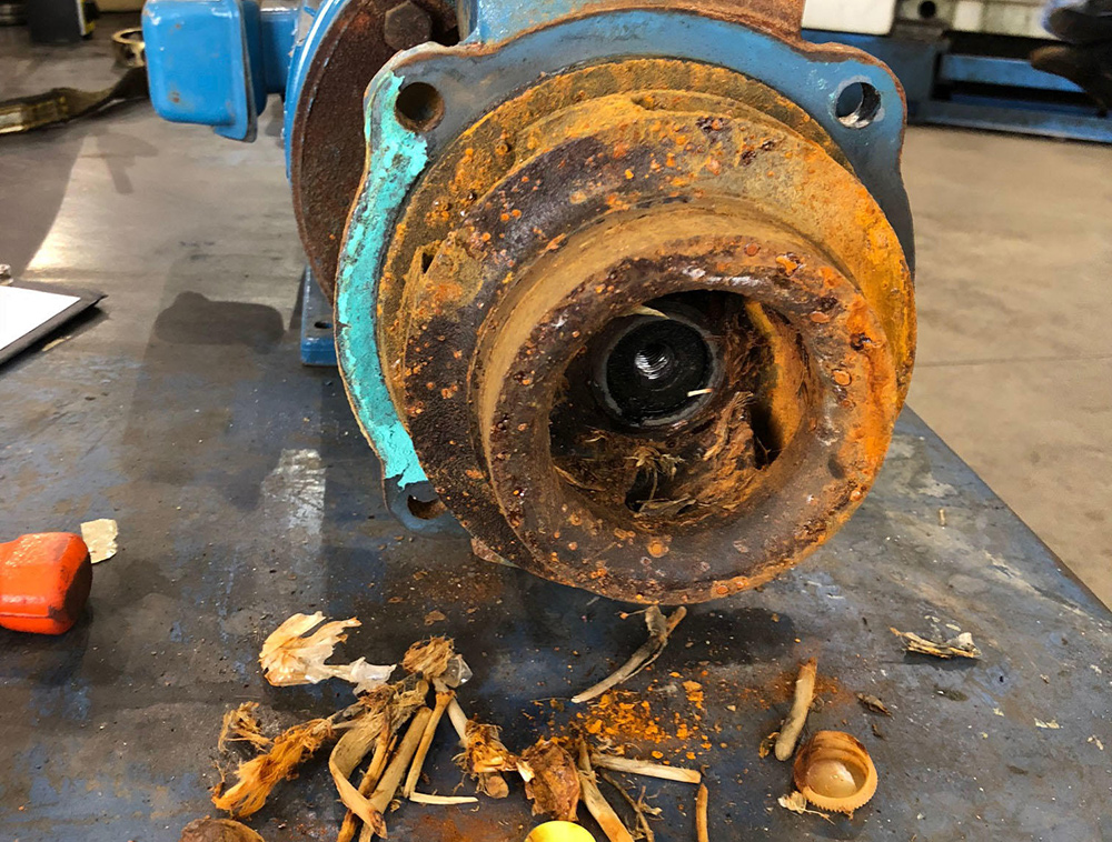 Chamco Pump Assessment & Repari Chamco Pump Assessment & Repari