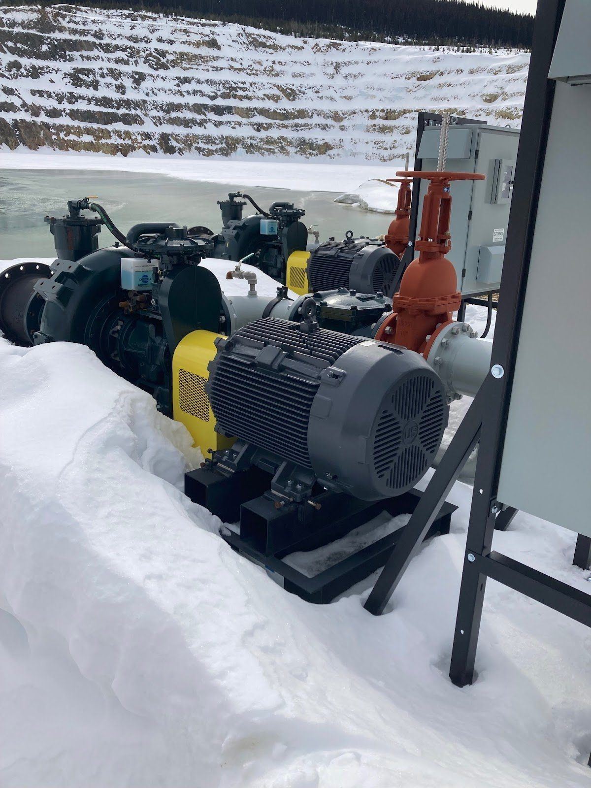 Cornell pumps partially covered in snow